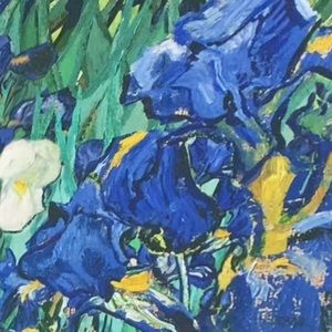 Meet your Posher, Diane